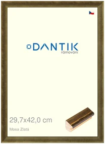 DANTIK rám na obraz 29,7x42 | Mosa zlatá (Plexi Čiré)