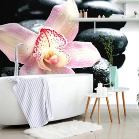 Fototapeta exotická orchidea - 150x100