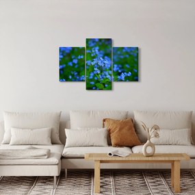 Obraz modrých kvetín (90x60 cm)