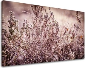 Obraz na stenu KVETY KV066E11 - 100x150 cm