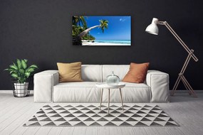 Obraz Canvas Pláž palma more krajina 140x70 cm