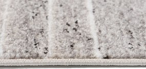 TA Koberec 36120/36966 FIESTA