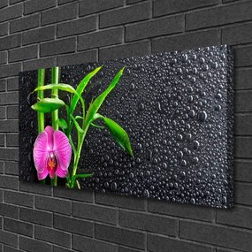 Obraz Canvas Bambus kvet kvapky 120x60 cm