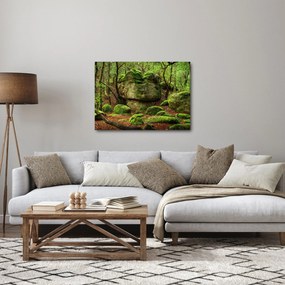 Obraz čarovného lesa (70x50 cm)