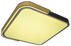 Rabalux 71146 - LED Stmievateľné stropné svietidlo ARILD LED/48W/230V Wi-Fi Tuya