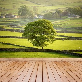 Fototapeta Vliesová Anglie derbyshire 104x70 cm