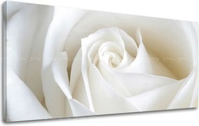 Obraz na stenu Panoráma KVETY XOBKV103E13 - 70x140 cm