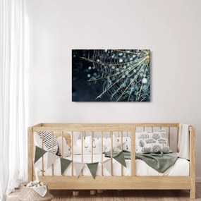 Obraz -Kvet s pavučinou (90x60 cm)