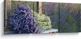 Obraz - Levanduľové zväzky (s hodinami) (90x30 cm)