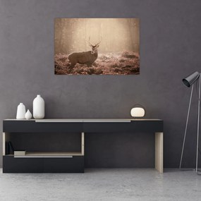 Obraz - Jeleň v lese (90x60 cm)