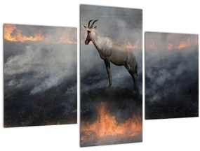 Obraz kamzíka v ohni (90x60 cm)