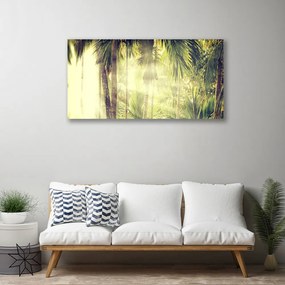 Obraz Canvas Les palmy stromy príroda 140x70 cm