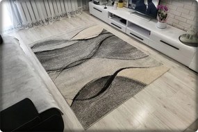 Dekorstudio Moderný koberec RIO vzor 443 sivý Rozmer koberca: 140x190cm