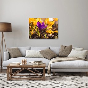 Sklenený obraz fialovej kvetiny (70x50 cm)