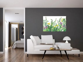 Obraz - Maľované lúčne kvety (90x60 cm)