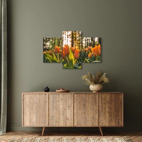 Obraz - kvety tulipánov (90x60 cm)