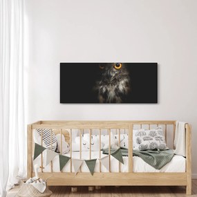 Obraz sovy (120x50 cm)