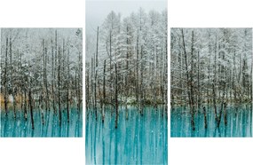 Obraz - Tyrkysový rybník, Biei, Japonsko (90x60 cm)