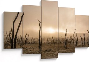 Obraz - Holé stromy (150x105 cm)