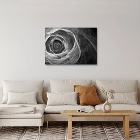Obraz - Abstraktné ruže čiernobiela (70x50 cm)