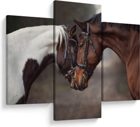 Obraz - Zamilované kone (90x60 cm)