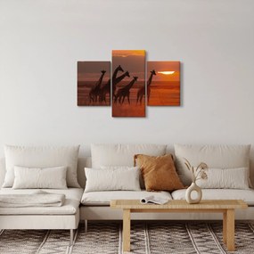 Obraz - Žirafy v africkej savane (90x60 cm)