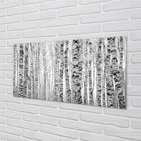 Sklenený obraz Čierna a biela breza 125x50 cm
