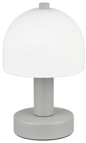 Sivá stolová lampa so skleneným tienidlom (výška 19 cm) Glenn – Trio