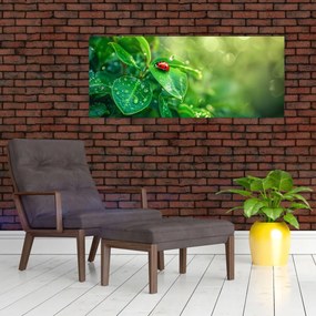 Obraz - Lienka (120x50 cm)