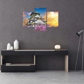 Obraz - Osacký hrad (90x60 cm)