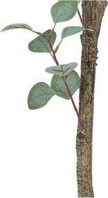 Umelý eukalyptus (výška 180 cm) Eucalyptus – Ixia