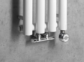 Sapho Sapho, PILON vykurovacie teleso 270x1800mm, so 4 háčikmi, biela matná, IZ121T