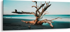 Obraz - Vyplavenie na pláži (120x50 cm)