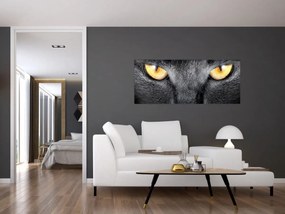 Obraz - Blízky portrét mačky (120x50 cm)
