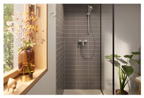 Hansgrohe Rebris E - Páková sprchová batéria na stenu, chróm 72650000