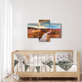 Obraz - Jesenná cesta krajinou (90x60 cm)
