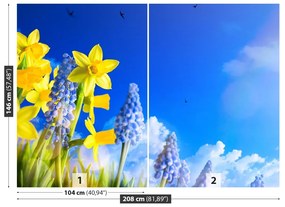 Fototapeta Vliesová Modrý narcis 104x70 cm