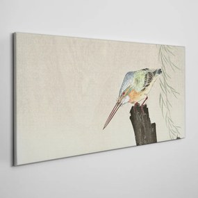 Obraz Canvas Zvieratá vtáky rybárik