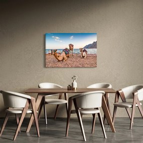 Obraz tiav (90x60 cm)