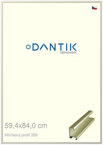 DANTIK rám na obraz 59,4x84 | ALU zlatá matná (Plexi Čiré)