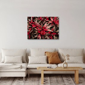Obraz červených okvetných lístkov (70x50 cm)
