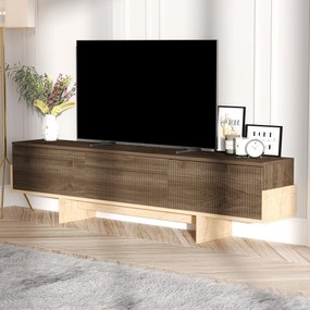 TV skrinka Hega (orech + dub zafírový). Akcia -19%. Vlastná spoľahlivá doprava až k Vám domov. 1144713