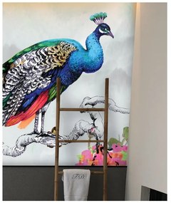 Fototapeta na stenu peacock