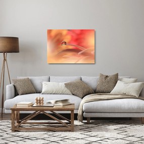 Sklenený obraz kvetinové kvapky rosy (70x50 cm)