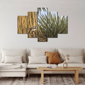Obraz - Oriešok (150x105 cm)