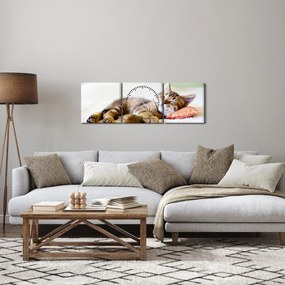 Obraz - Spiace mačiatko (s hodinami) (90x30 cm)