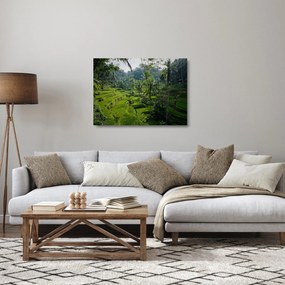 Sklenený obraz ryžových terás Tegalalang, Bali (70x50 cm)