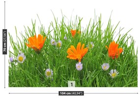 Fototapeta Vliesová Veľkonočné kvety 250x104 cm