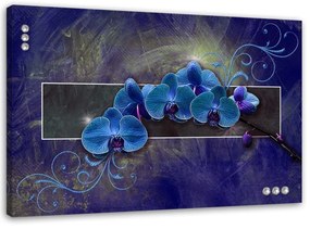 Obraz na plátně Orchidej Květina Modrá - 120x80 cm