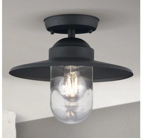 Orion AL 11-1317 - Vonkajší prisadený luster EDWARD 1xE27/60W/230V IP44 čierna AL 11-1317 anthrazit